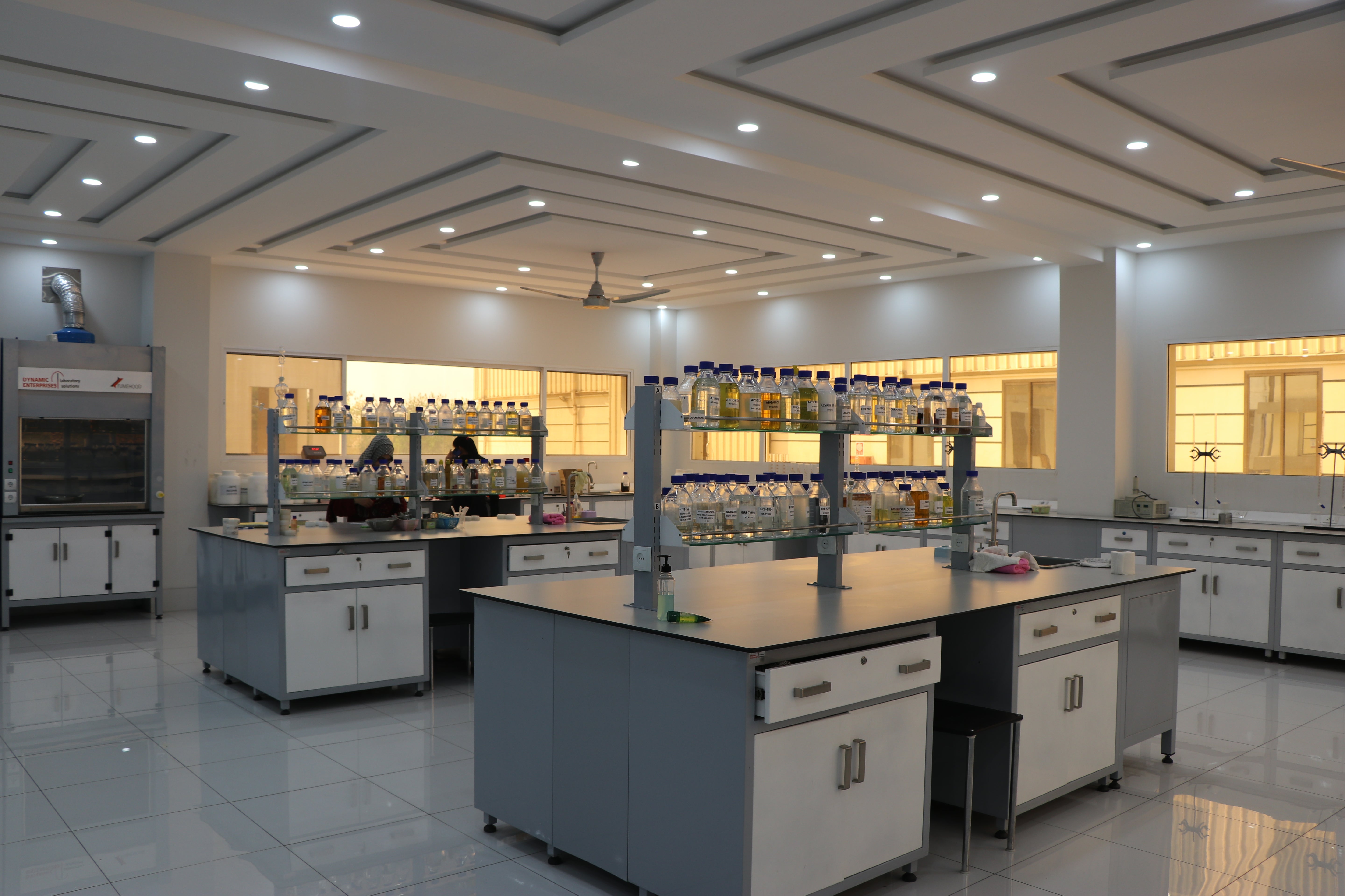 Freedom for Everyone